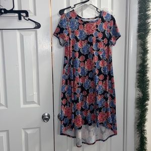 Lula Roe swing dress with pocket